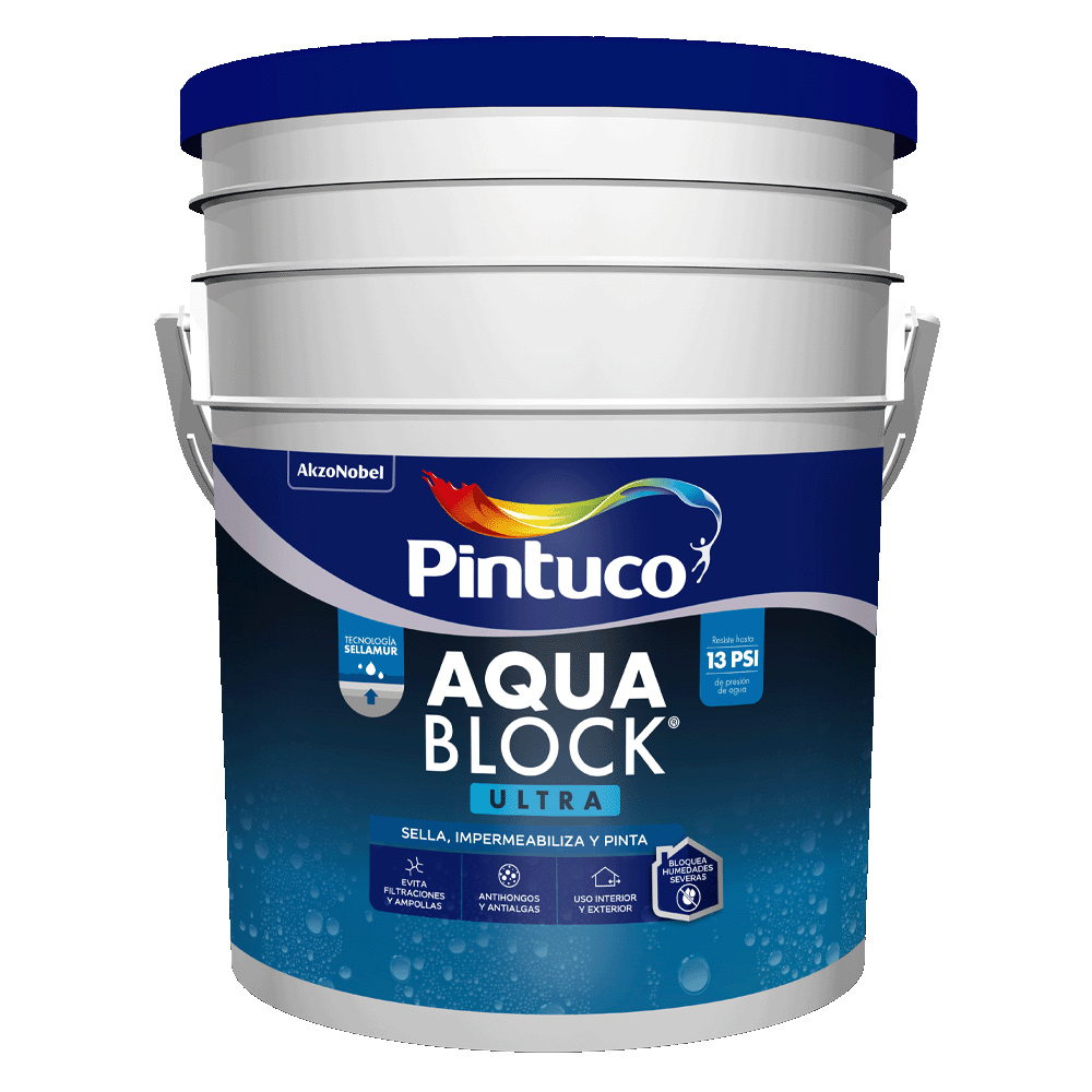 Producto 4